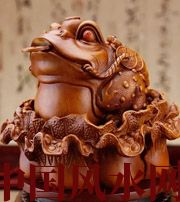 中卫解读金蟾最合适的位置，这样摆放更招财！